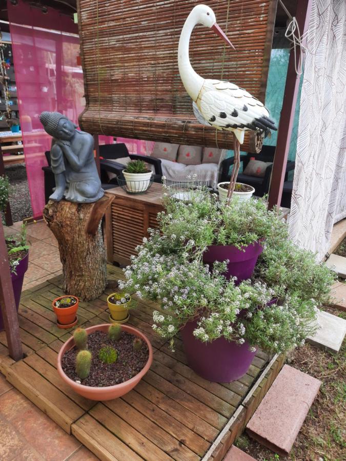 Chambres Et Table D'Hote Les Hortensias La Plaine des Cafres Kültér fotó