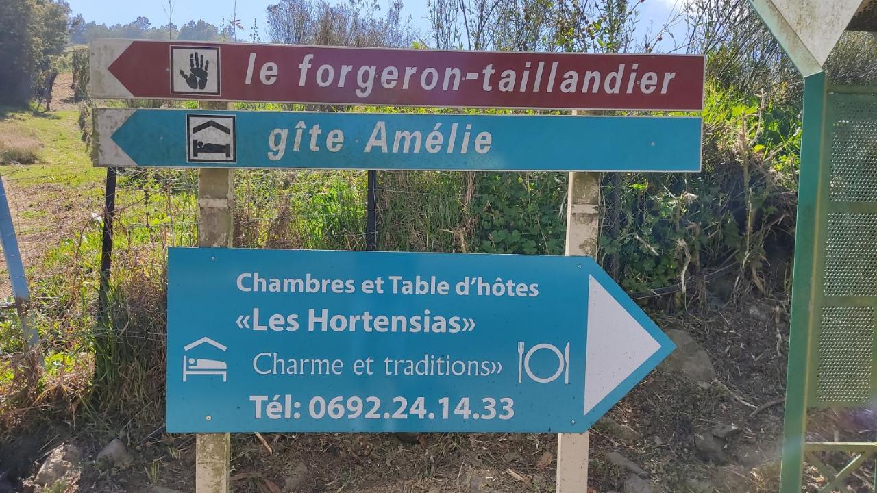 Chambres Et Table D'Hote Les Hortensias La Plaine des Cafres Kültér fotó